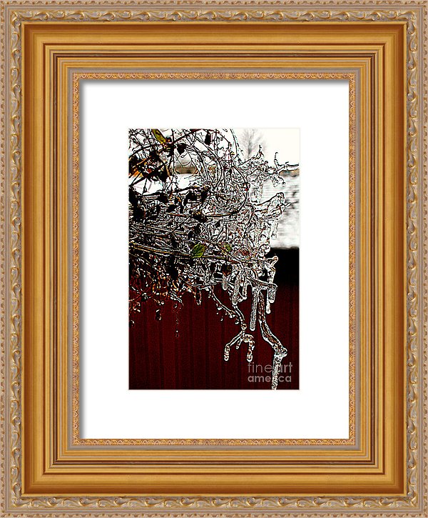 november-rain-jody-scott-olson